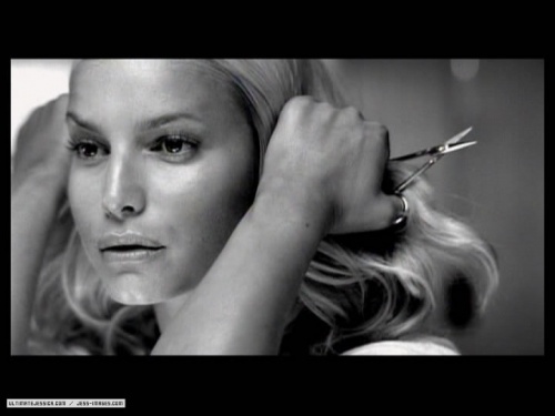 141.jpg